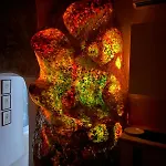 Casa Gisella 갈리폴리